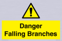 danger-falling-branches~